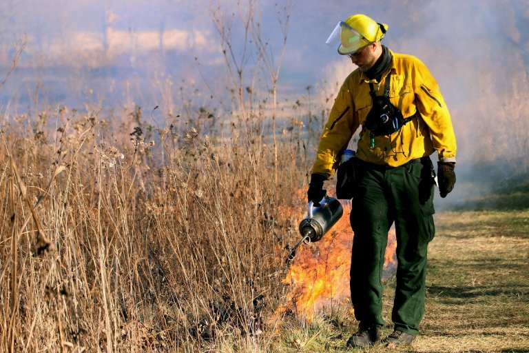 How AI and satellite imaging are helping detect wildfires in Colorado before they grow_66aa514b777f9.jpeg