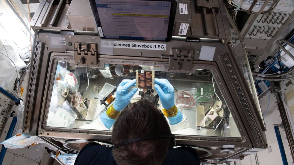 Drugs can partially prevent muscle loss caused by microgravity, experimental study finds_66bbe59268b62.jpeg