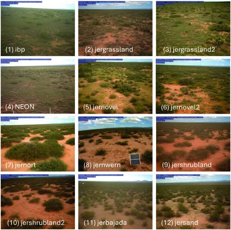 Eyes in the sky and on the ground: Enhanced dryland monitoring with remote sensing_66c7525d4b4d7.jpeg