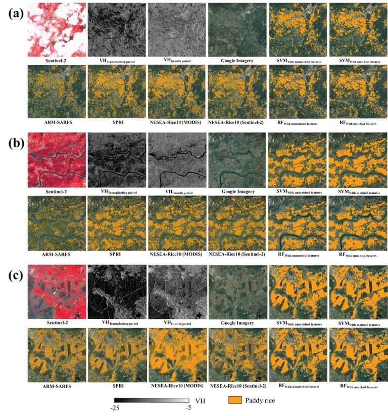 From plows to pixels: Comprehensive rice mapping with satellite technology_66c7526351f1f.jpeg