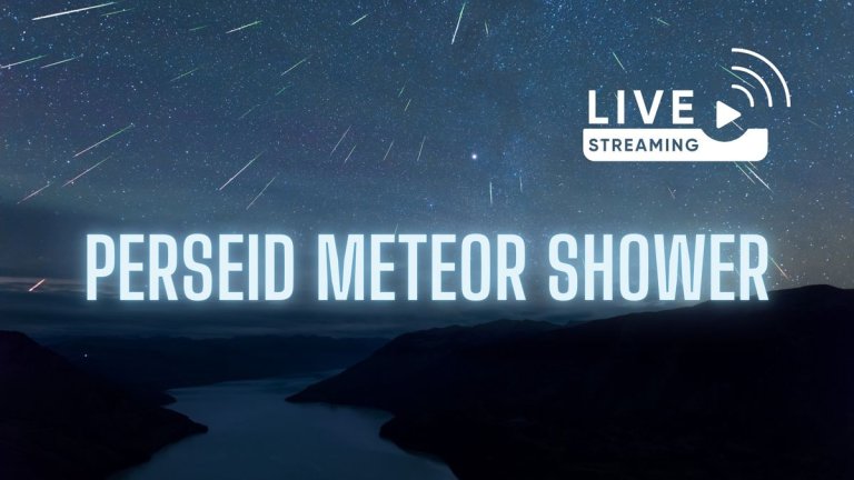 How to watch the Perseid meteor shower live online this weekend_66b4dd5c68f80.jpeg