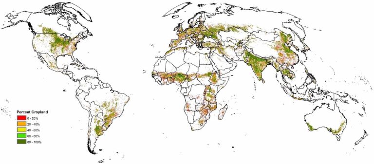 Improving the accuracy of global cropland mapping_66c8a3cc0098a.jpeg