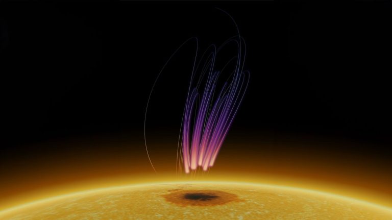 Intense solar storm opens ‘2-way highway’ for charged particles, sparking rare auroras on the sun_66be88a74ff5a.jpeg