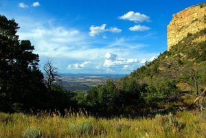 Islands in the sky: Could steep-sided hilltops offer safe haven to threatened species?_66bf69517e239.jpeg