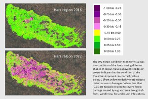 New forest condition monitor shows dynamic changes in forests resulting from extreme climate change events_66bb74fe2db94.jpeg