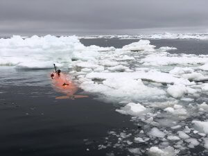 Underwater mapping reveals new insights into melting of Antarctica’s ice shelves_66aba300d9006.jpeg