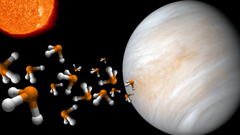 Venus may be able to support life, new atmospheric evidence suggests_66acf485d3159.png