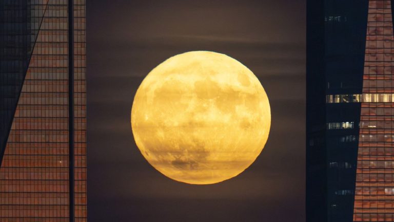 Why is a ‘once-in-a-decade’ Supermoon Blue Moon happening twice in 2 years?_66c0bb03b0f2b.jpeg