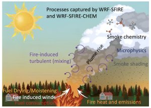 Wildfires can create their own weather, further spreading the flames − an atmospheric scientist explains how_66acf46b3e4fd.jpeg