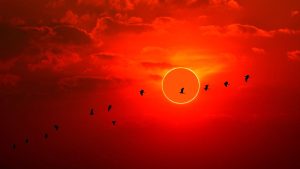 1 week until annular solar eclipse turns the sun into a dramatic ‘ring of fire’_66f418d28abfc.jpeg