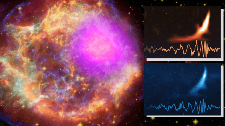 Black hole or neutron star? Gravitational wave ‘chirps’ can tell us what becomes of dying stars_66e446c220b79.png