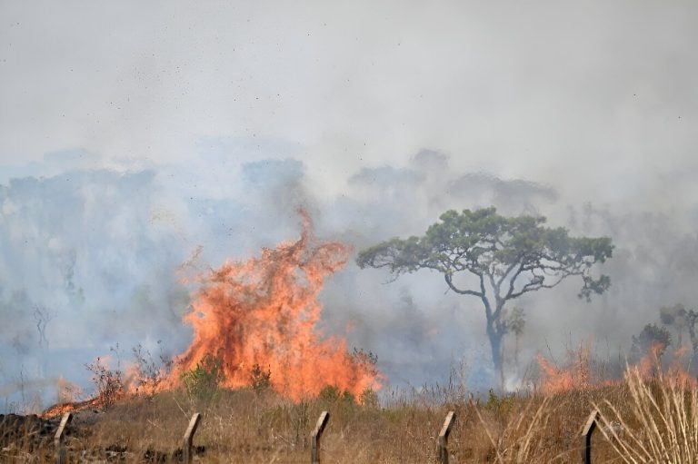 Firefighters battling flames around Brazil’s capital_66e99969a1d25.jpeg