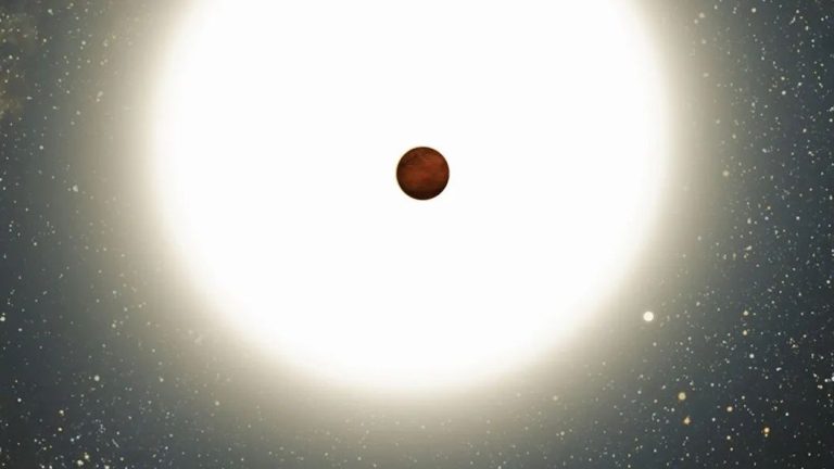 ‘Warm Jupiter’ exoplanet 300 light-years away found by amateur astronomers_66d6438f824e0.jpeg