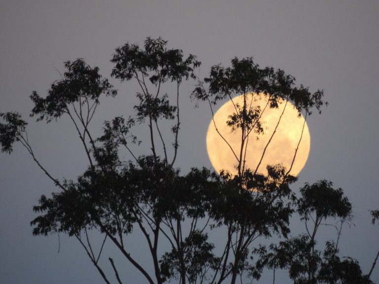 ‘Biggest and brightest’ supermoon to shine over California soon—along with comet, meteors_67114ec44f55f.jpeg