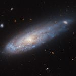 Distorted galaxy whizzes through crowded cluster in new Hubble Telescope image_67213c83d2dc3.jpeg