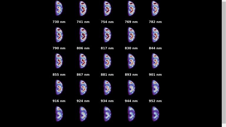 Earth sure looks spooky in these ‘hyperspectral’ images from Europe’s Hera asteroid probe_672433dad69fe.jpeg