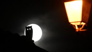 Hunter’s Supermoon rises this week, the biggest full moon of 2024. Here’s how to see it_670ee7522abd7.jpeg