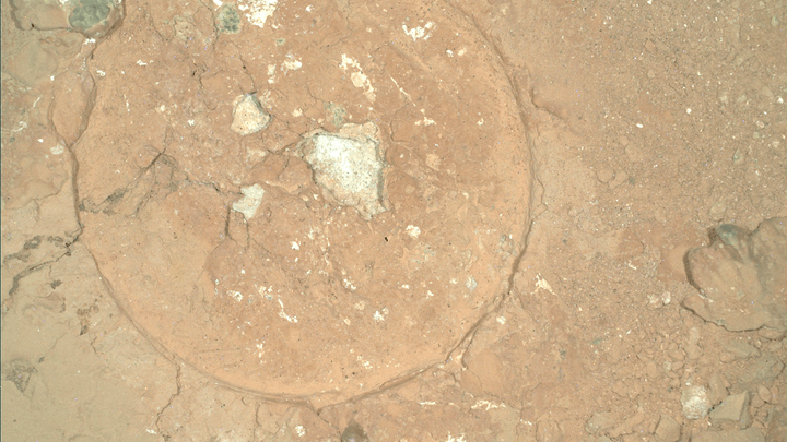 Strange green spots on Mars found by NASA’s Perseverance rover (photo)_67228df1e6f4a.png