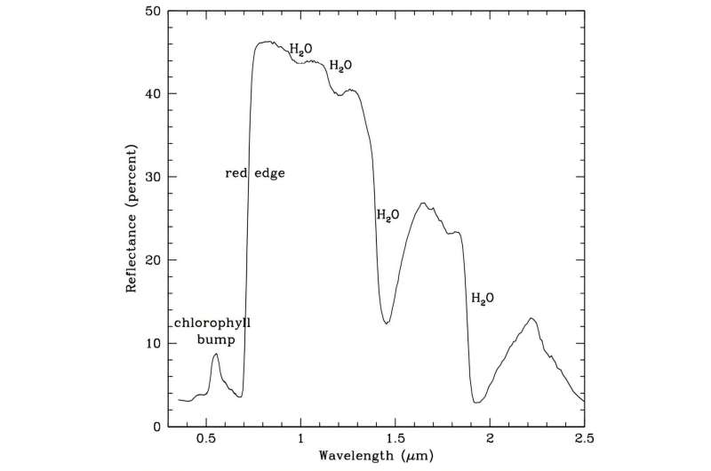 A new way to detect daisy worlds