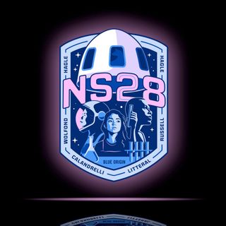 a blue, pink and white space missio patch, showing a white space capsule above the text "NS-28"