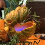 ‘Boo Deng’ steals the show at NASA JPL’s annual pumpkin carving contest (photos)_672583717d10c.jpeg