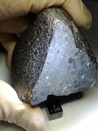 Basaltic meteorites are common in the Solar System. This example from Mars — called North-West Africa (NWA) 7034, nicknamed Black Beauty — a grayish black rock — has a relatively large amount of water in it.