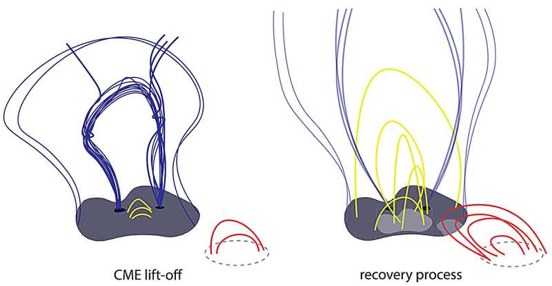 How the Sun heals after plasma eruption: New findings on coronal dimmings