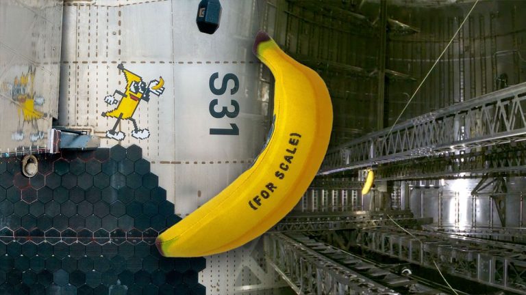 ‘It’s bananas:’ Toy fruit becomes first zero-g indicator to fly on SpaceX Starship_673de907674b4.jpeg