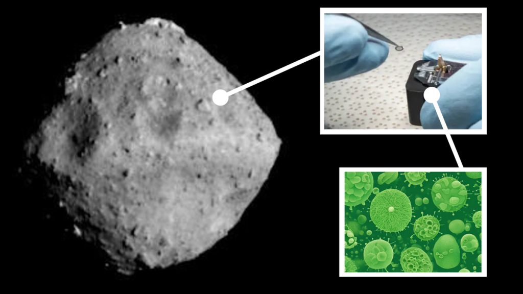 Japan’s priceless asteroid Ryugu sample got ‘rapidly colonized’ by Earth bacteria_6747cc4f83de6.png