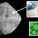 Japan’s priceless asteroid Ryugu sample got ‘rapidly colonized’ by Earth bacteria_6747cc4f83de6.png