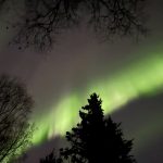 Northern lights may be faintly visible across parts of the US this Thanksgiving_6748995d7907f.jpeg