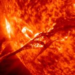 Researchers probe ancient wood for clues about massive solar storms_673fb37fe6e9d.jpeg