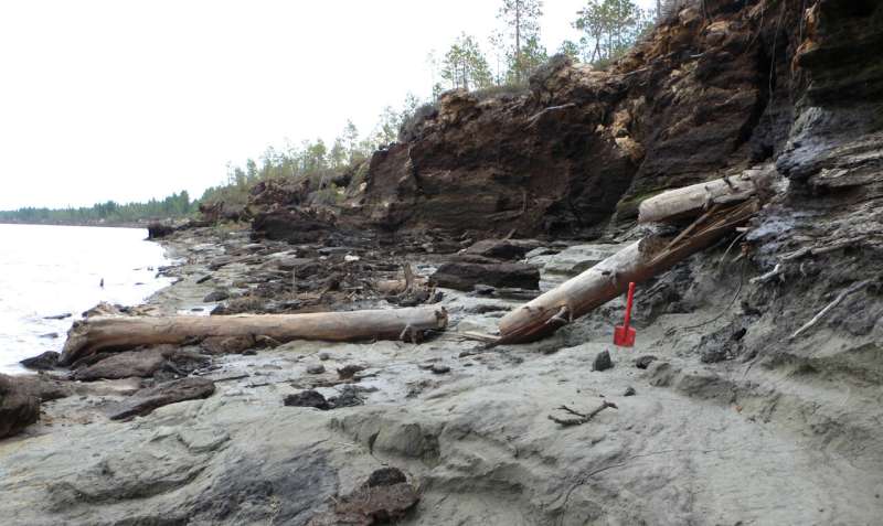 When trees 'talk:' Researchers probe ancient wood for clues about massive solar storms