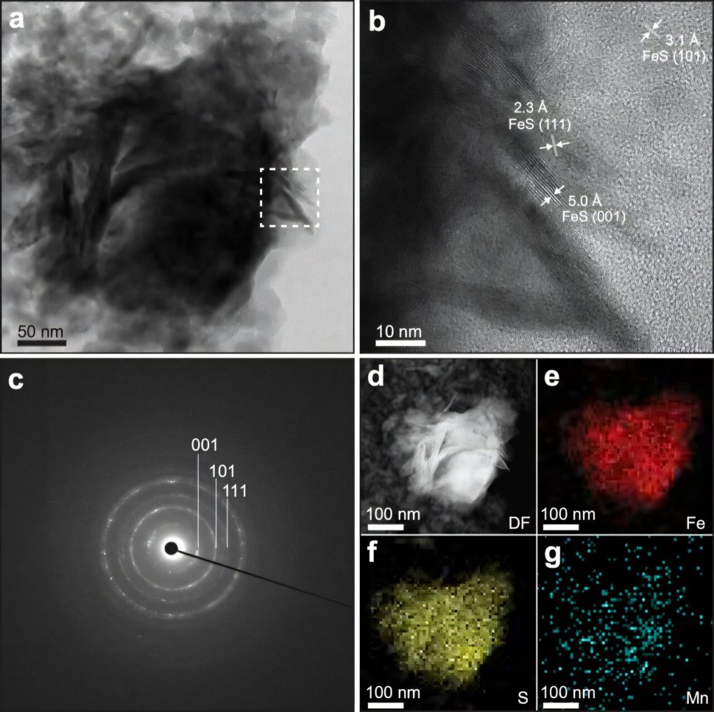 Scientists reveal possible role of iron sulfides in creating life in terrestrial hot springs_6748994d9f87e.jpeg