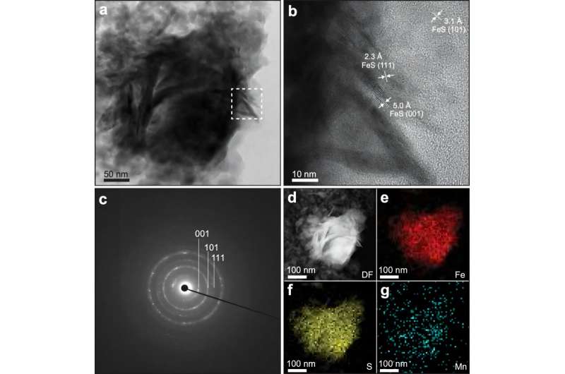 Scientists reveal possible role of iron sulfides in creating life in terrestrial hot springs