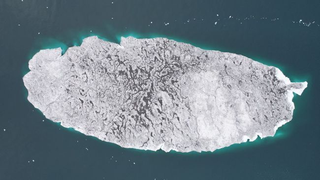 Surprised Russian school kids discover Arctic island has vanished after comparing satellite images_673502fc66c99.jpeg