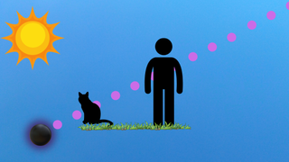 The online of a human and a cat against a sky blue background they are intersected by a dotted line representing the passage of a primordial black hole