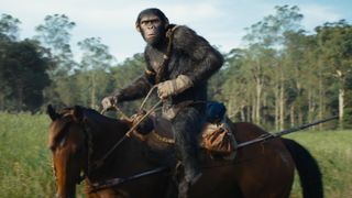 An ape is riding a horse with tall trees and grass in the background.