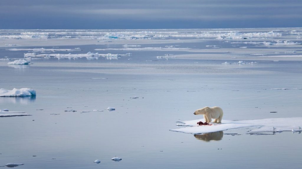 ‘Ominous milestone for the planet’: Arctic Ocean’s 1st ice-free day could be just 3 years away, alarming study finds_675452a18dc8f.jpeg