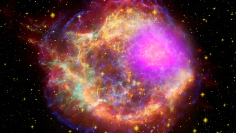 Over 10,000 exploding stars catalogued by groundbreaking Zwicky Transient Facility_6753558090122.png