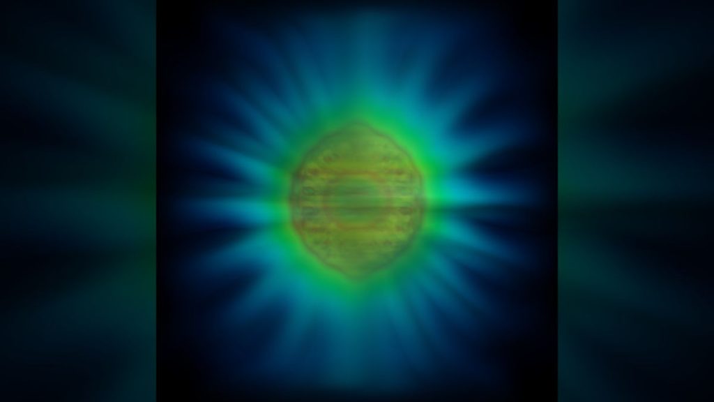 The shape of light: Scientists reveal image of an individual photon for 1st time ever_674f60fcaf64a.jpeg