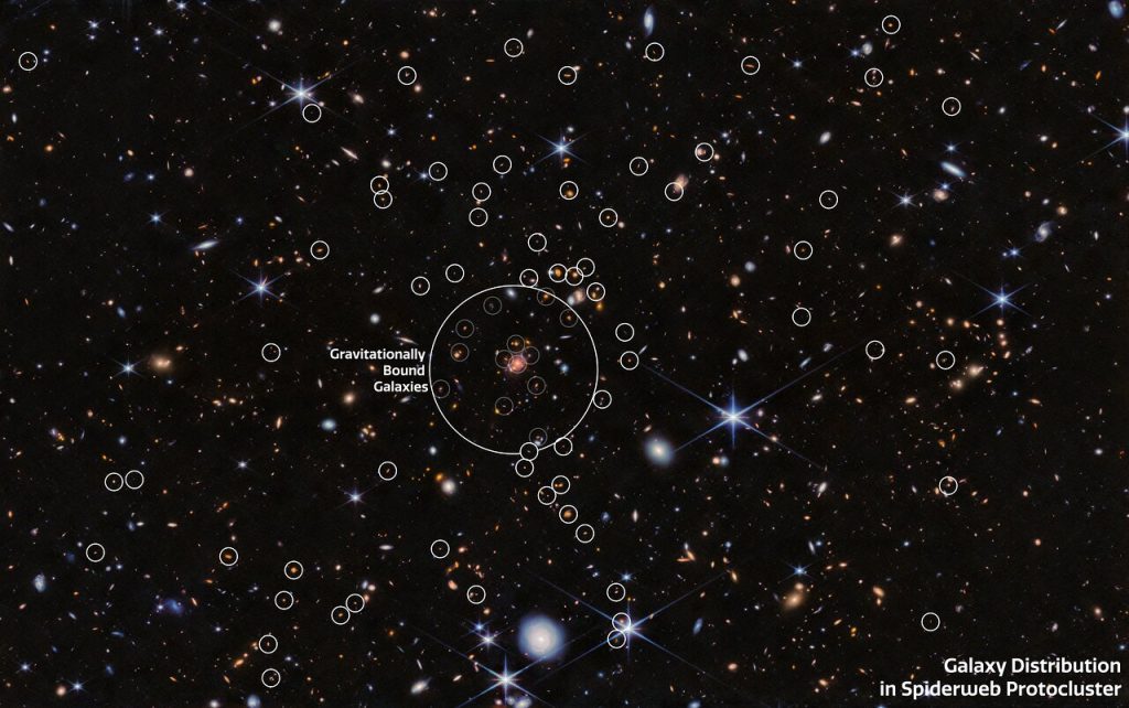 Webb finds new galaxies in Spiderweb protocluster field_6750d6b2c14d3.jpeg